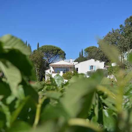 Bed and Breakfast Mas Du Perthus Cassis Exterior foto